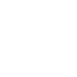 Logo du club d'échecs Caïssa Bordeaux